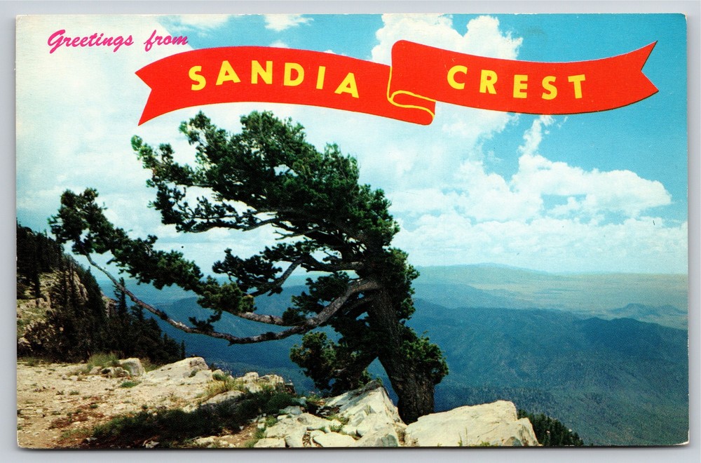 New Mexico~Sandia Crest Banner Greetings~Nearing Timberline~Vintage Postcard