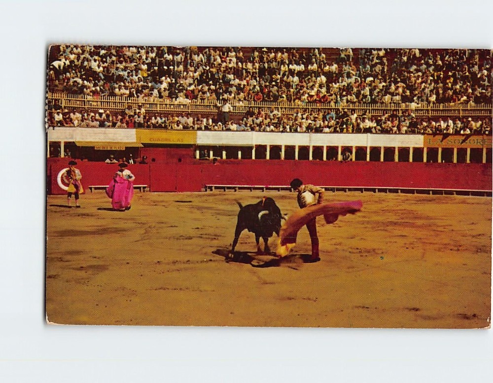 Postcard Bull-Fight Scene Tijuana Mexico