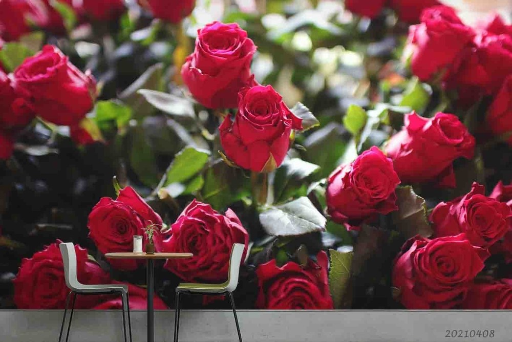 3D Red Rose Plants Close-up Wall Murals Wallpaper Murals Wall Sticker 4