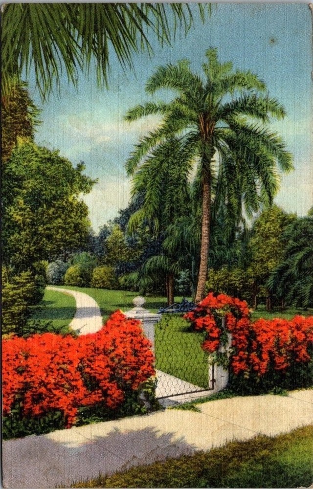 1935 Saint Petersburg FL Palm Trees & Flowers Linen Postcard Posted