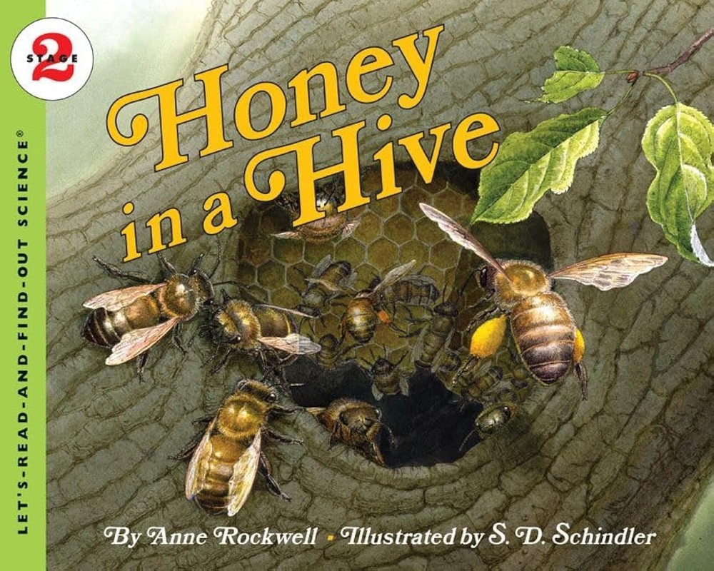 Honey in a Hive: A Nonfiction Picture Book About Honeybee Societies for Chil...
