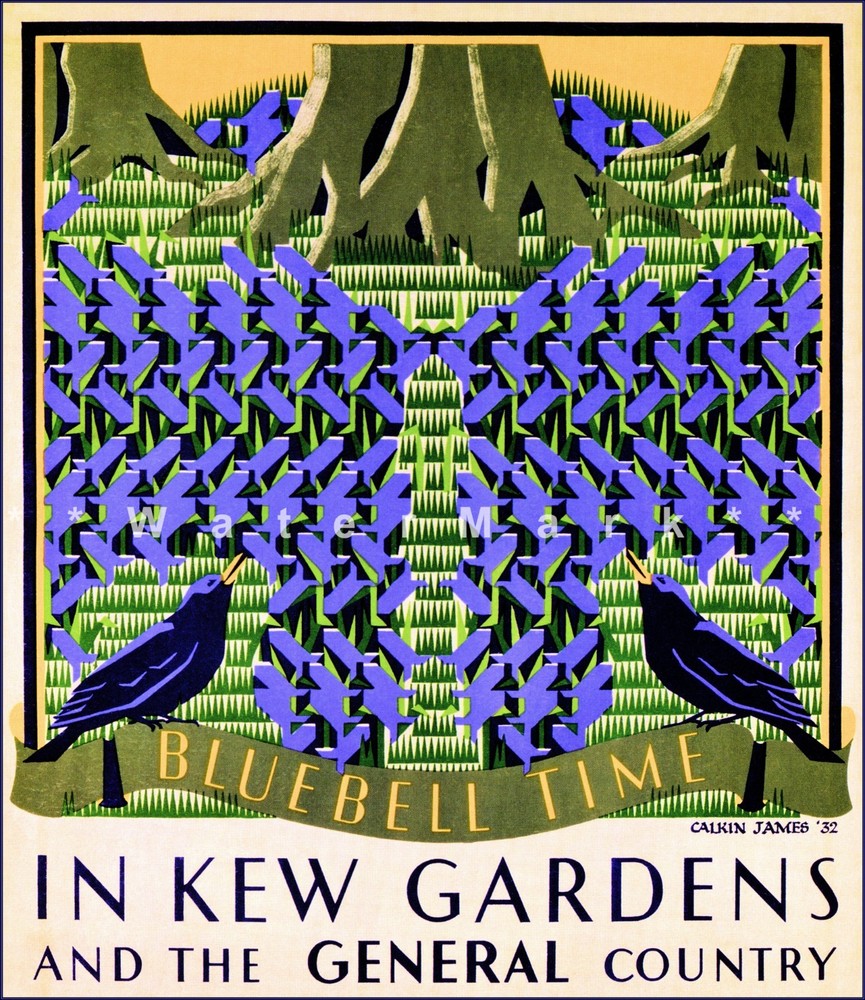Vintage 1932 Bluebells Botanical Poster Print Kew Gardens London  