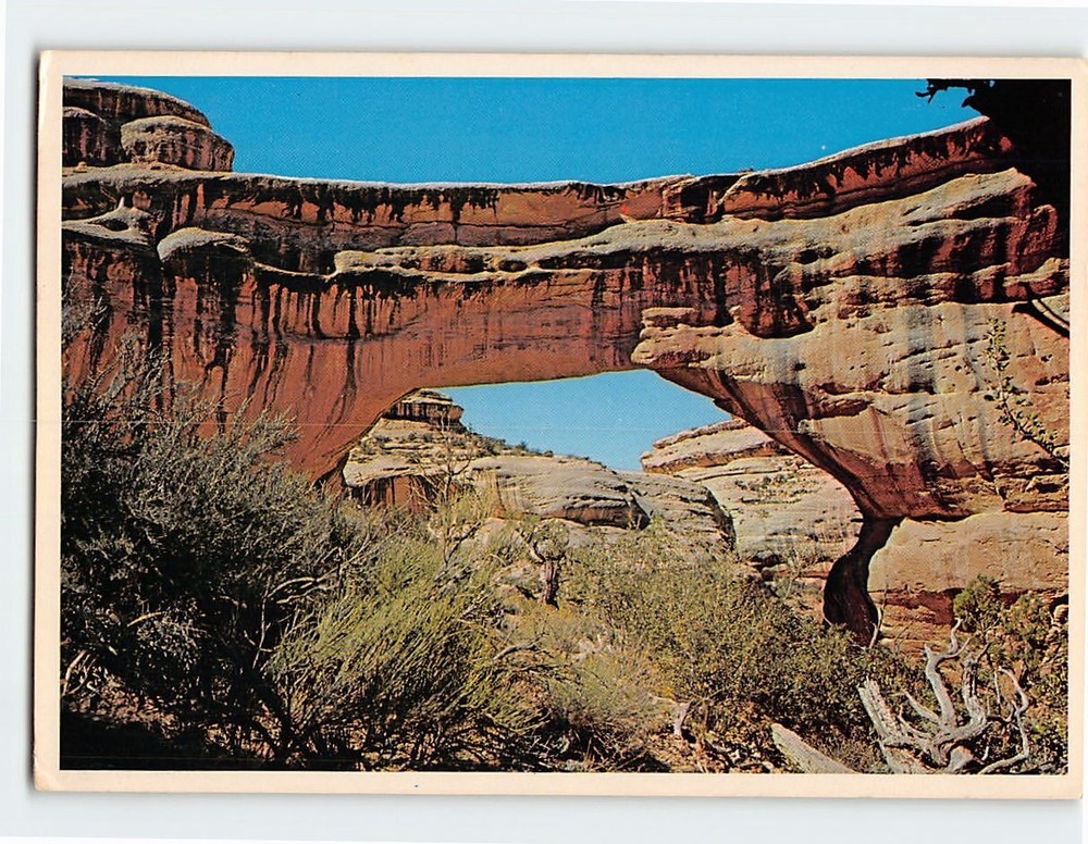 Postcard Sipapu Natural Bridge Natural Bridges National Monument Utah