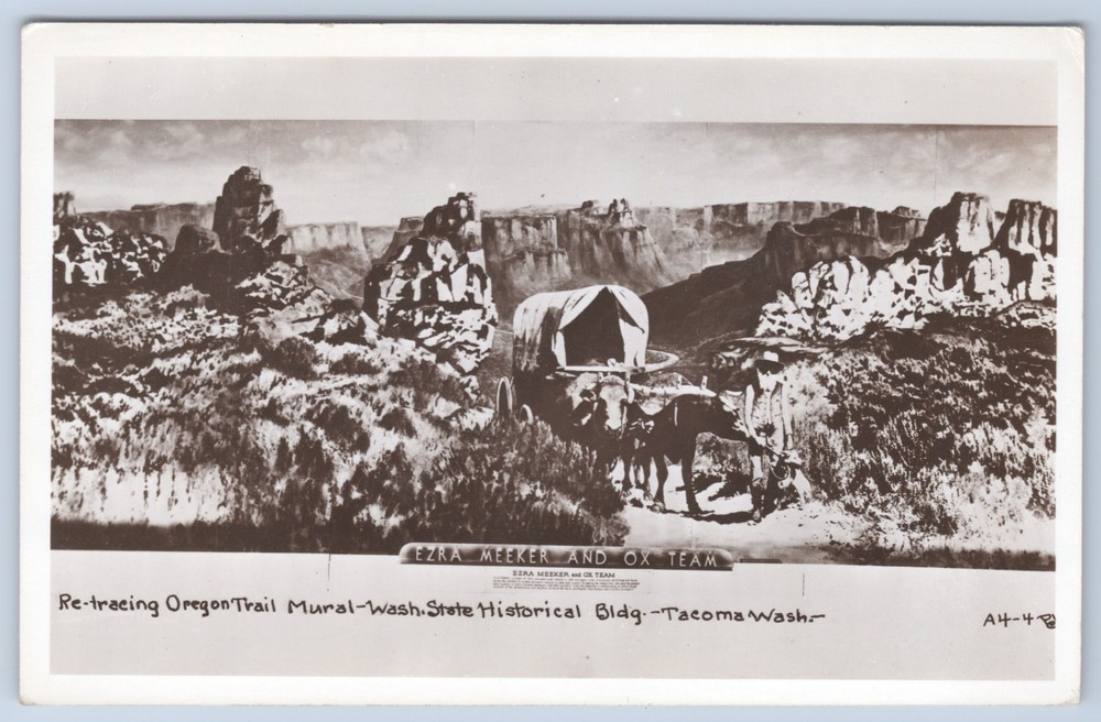 RPPC WA Tacoma Smith’s Oregon Trail Mural Ezra Meeker Ox Team Postcard