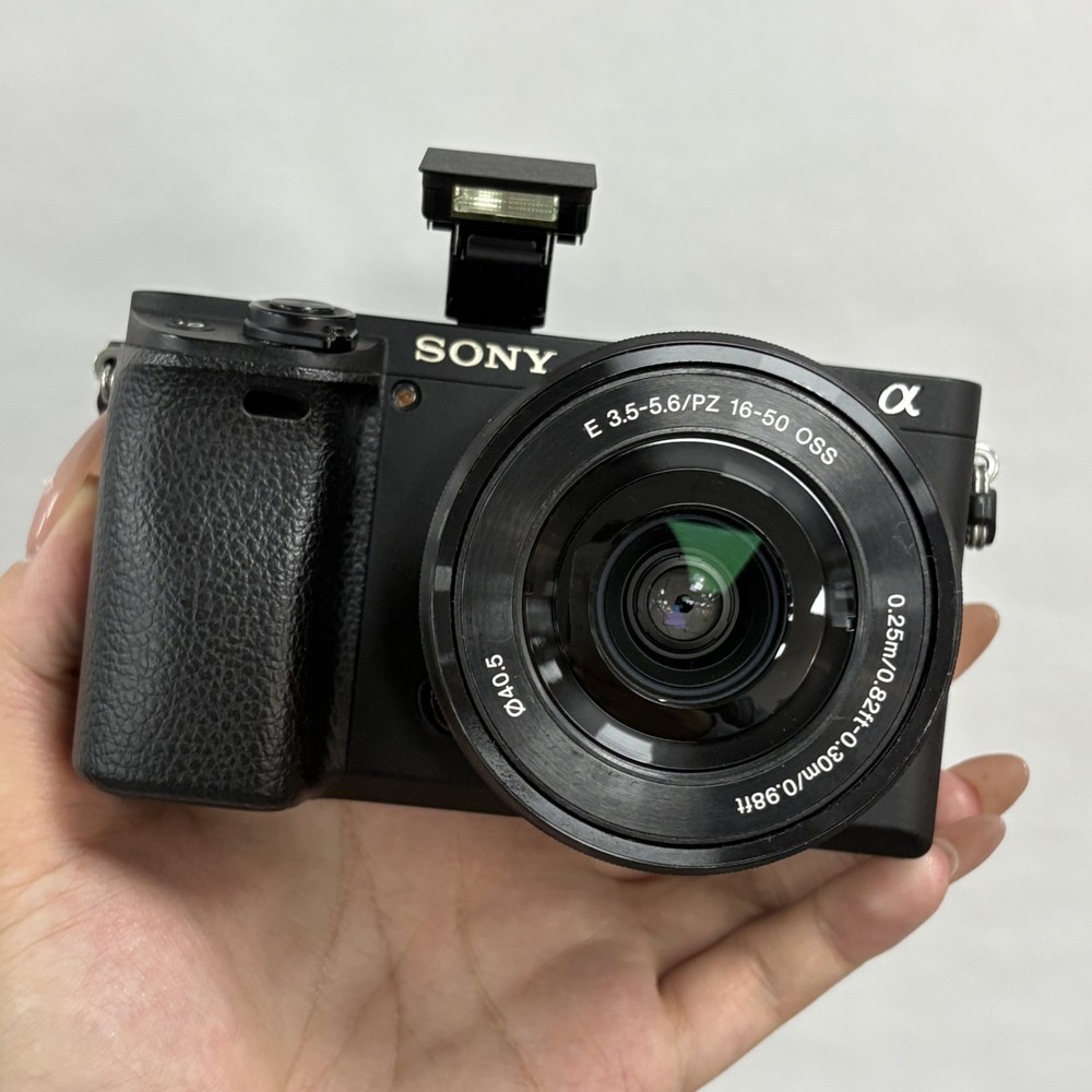 Sony Alpha a6400 24.2 MP Digital Camera - Black (with 16-50mm Lens) English
