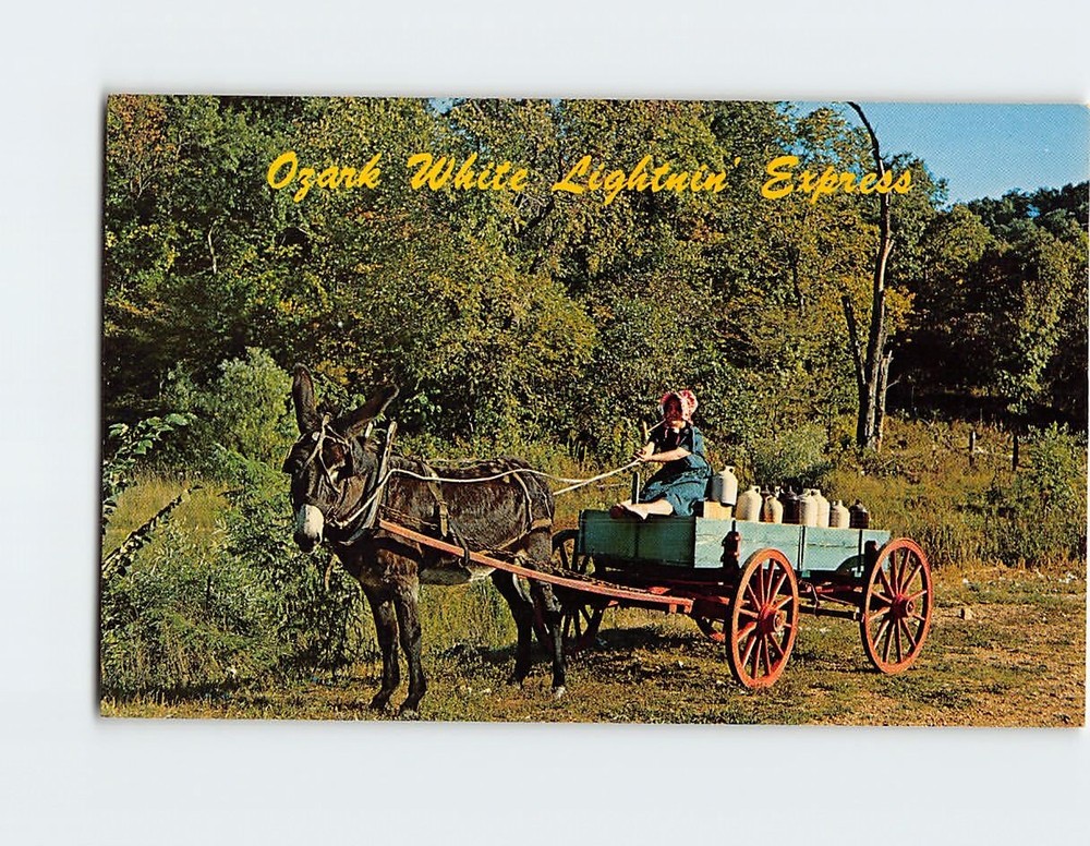 Postcard Ozark White Lightnin' Express Molly Sue Halls the Weekly Produce
