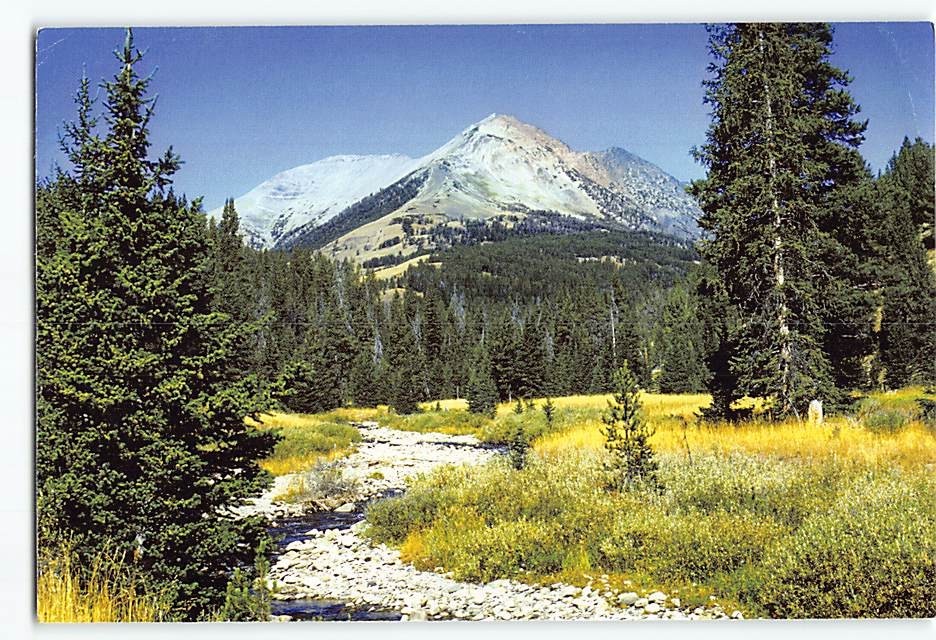Postcard Yellowstone Water Resource Wyoming USA