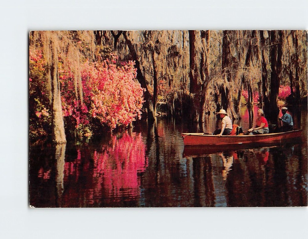 Postcard Cypress Gardens South Carolina USA