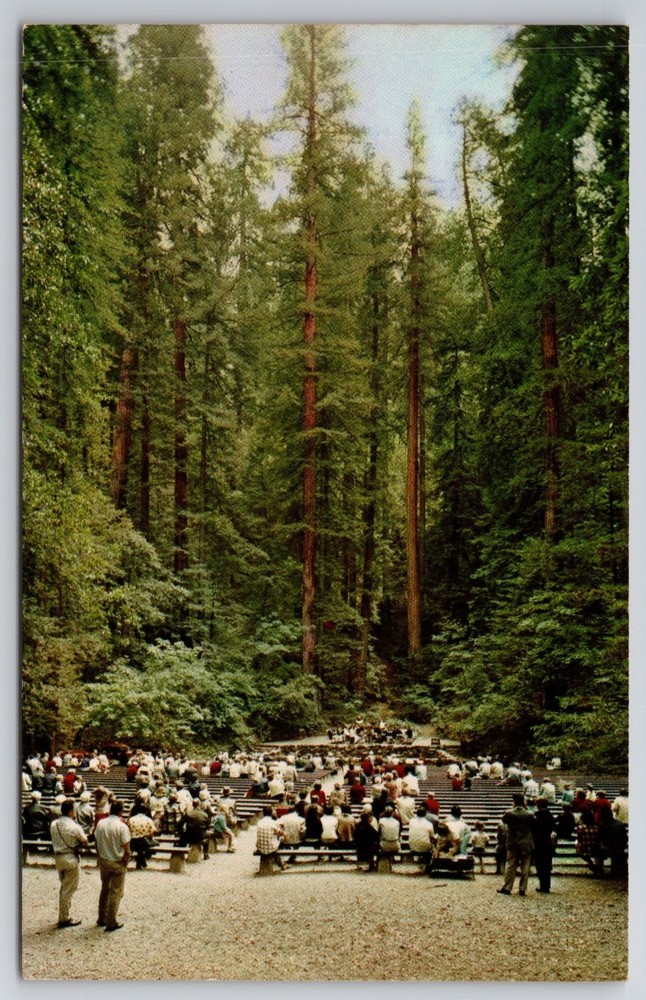 Redwood Amphitheatre Armstrong Woods Guerneville CA Postcard