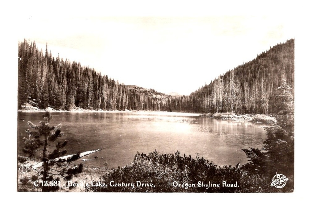 1950s Forest Around Devils Lake Deschutes Oregon Vintage Real Photo Postcard