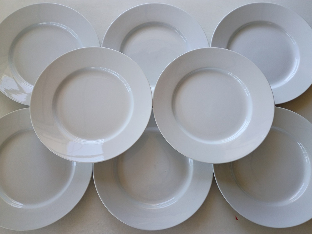 Pottery Barn Great White 12
