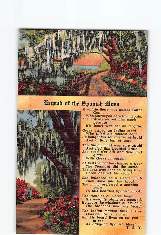 Postcard Legend of the Spanish Moss Vintage Southern Landscape Poem