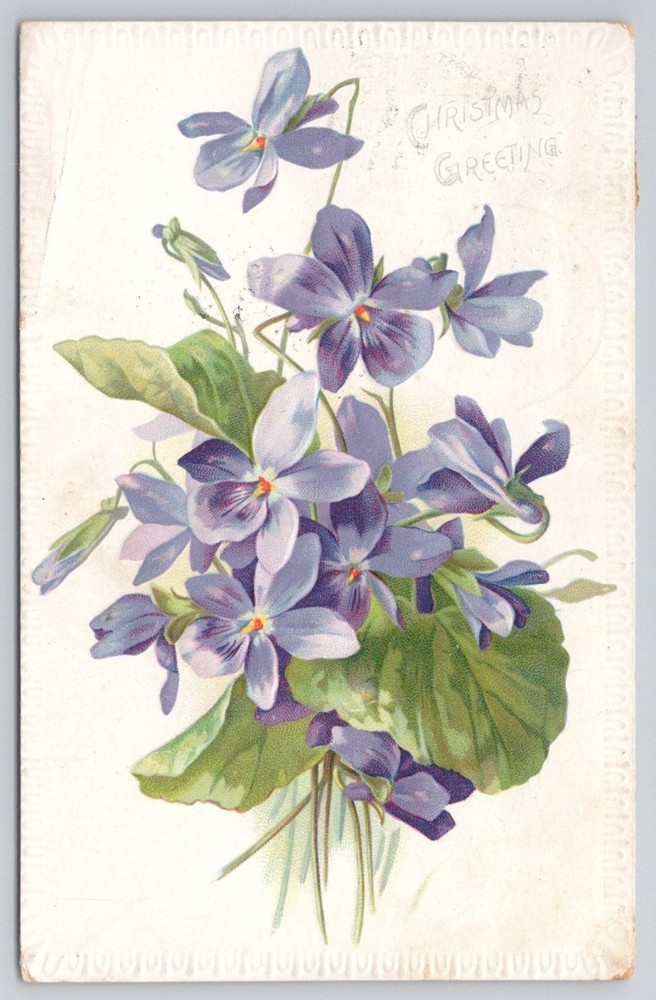 1907 Christmas Greeting Postcard Violets Embossed Raphael Tuck Saxony