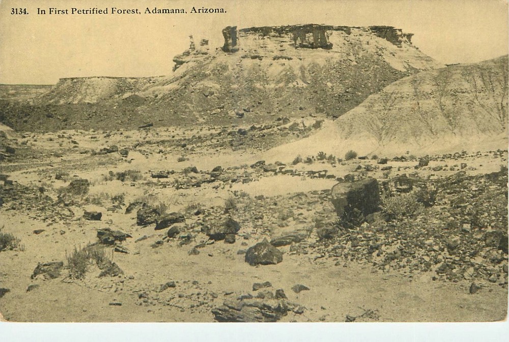 c1910 Adamana Arizona First Petrified Forest HTTCO Postcard 26-392