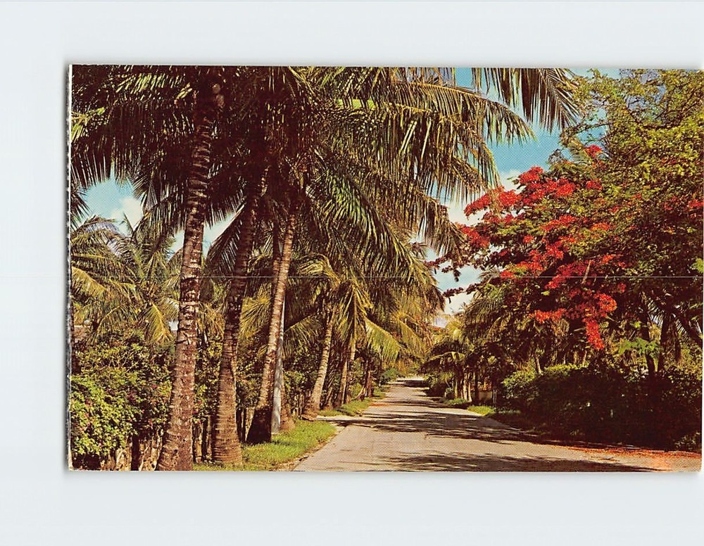 Postcard Typical Nassau Road Scene Bahamas