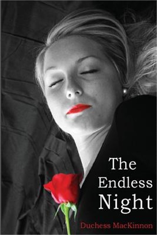 The Endless Night (Paperback or Softback)