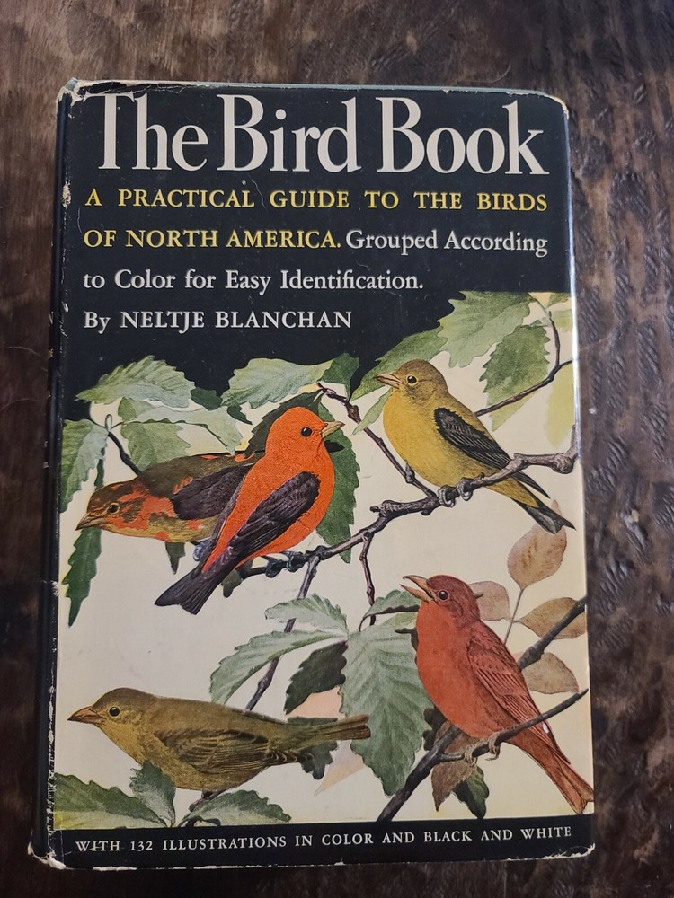 The Bird Book Bird Neighbors And Birds That Hunt And Are Hunted By Blanchan 1939