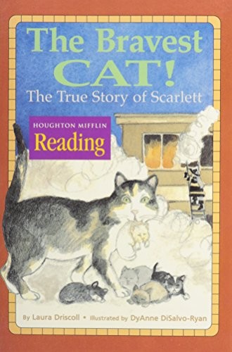The Nation's Choice: Theme Paperbac..., Houghton Miffli
