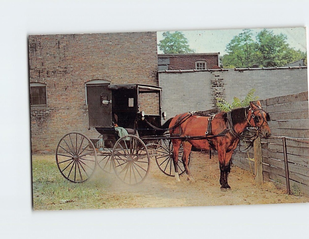 Postcard Horse & Buggy Parking Lot Goshen Indiana USA