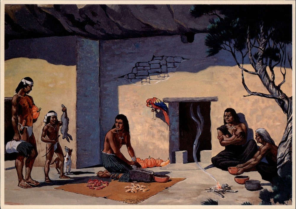Arizona Walnut Canyon Natl Monument Sinagua Indians by Jay Datus ~ art postcard