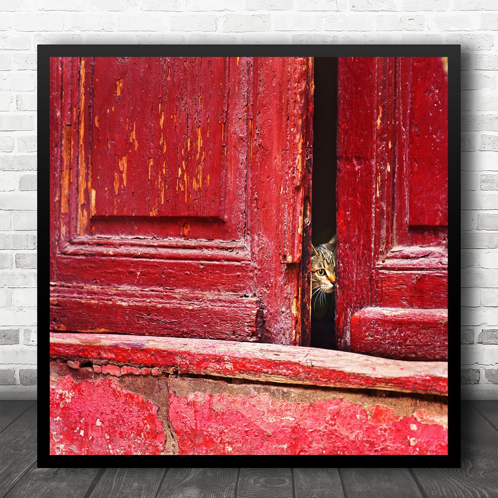 Vintage Animal Cat Retro Old Looking Red Door Conceptual Eyes Square Print