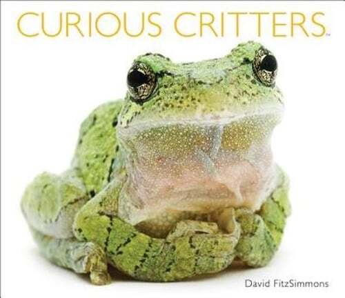 Curious Critters by David Fitzsimmons: Used