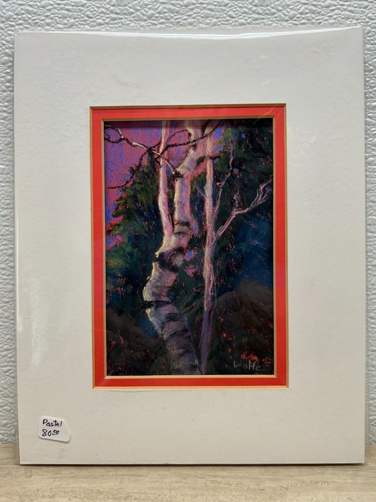 Vtg 1990s Real Pastel Woods Paysage Painting Signed By Mary Hansen Wolf