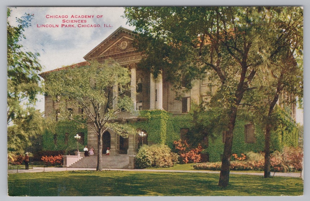 Postcard Chicago Academy Of Sciences Lincoln Park Chicago Illinois-image