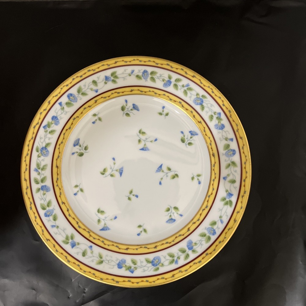 LIMOGES A. Reynaud & Co Morning Glory Salad/Dessert Plate 7.5 in