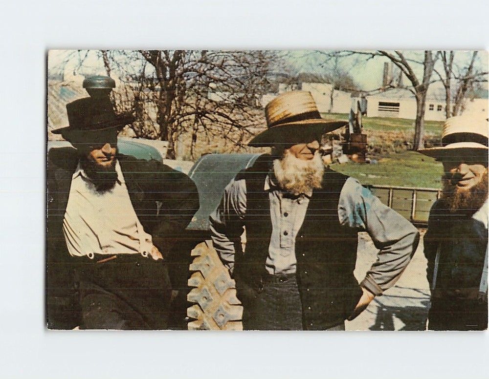 Postcard Amish Men At Public Sale of Farm Equipment Pennsylvania USA