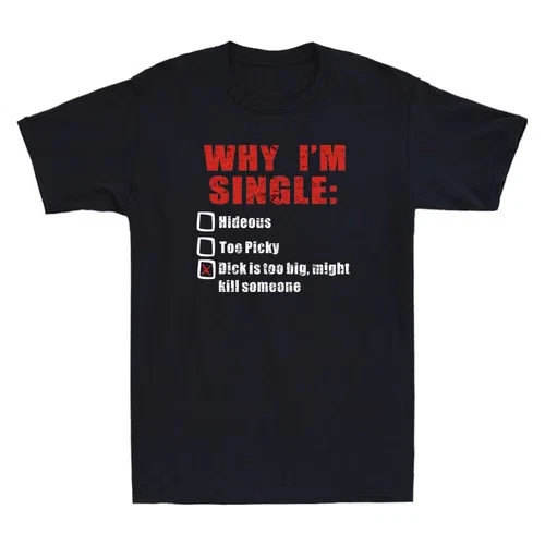 Why I'm Single Hideous Too Picky Dick Is Too Big Funny Saying Gift Men's T-Shirt