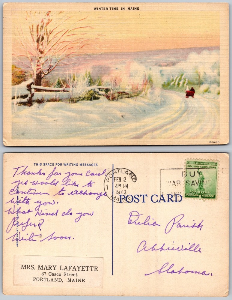Winter Snow Scene Fence Sled Hills Maine Postcard