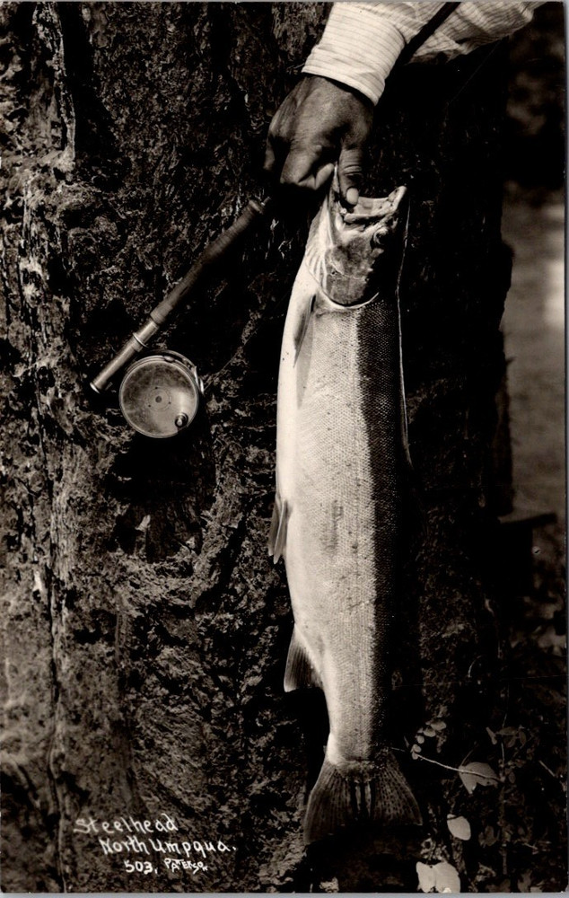 Vintage RPPC Large Steelhead Catch Fishing Photo Outdoor Scene [AB]