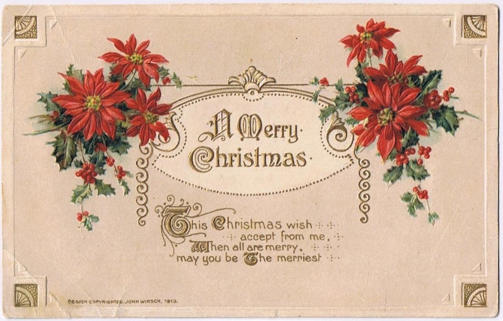 Postcard Embossed A Merry Christmas Poinsettia John Winsch 1913