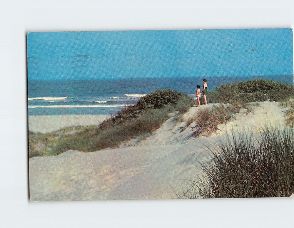 Postcard Sand Dunes and Ocean Maine Vacationland USA North America