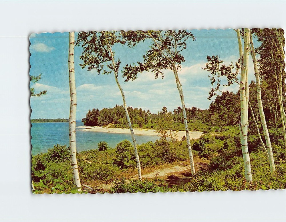 Postcard Sebago Lake Maine USA