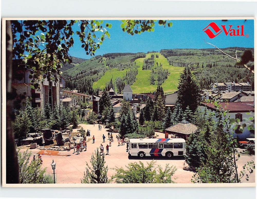 Postcard White River National Forest Vail Colorado