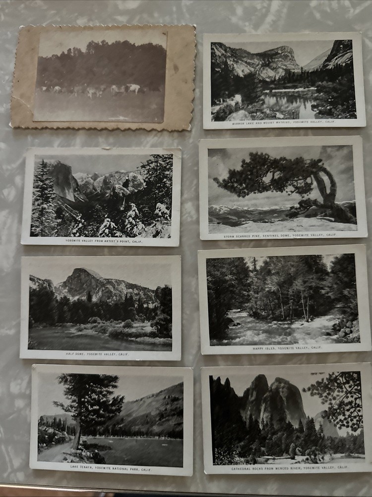 Vintage Travel Picture Cards Yosemite National Park California