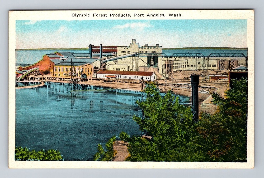 Port Angeles WA-Washington, Olympic Forest Products, Antique Vintage Postcard