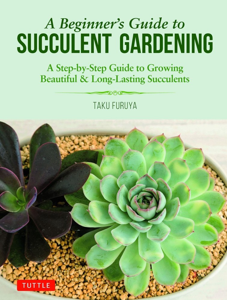 A Beginner's Guide to Succulent Gardening: A Step-by-Step Guide to Growing Beaut