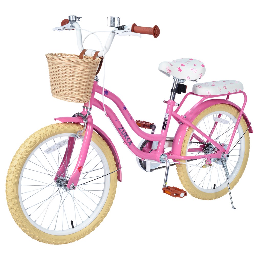 Girls Bike with Basket for 7-10 Years Old Kids,20 inch wheel ,No Training Wheels