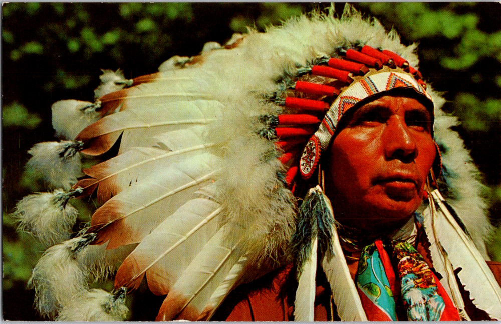 Vintage Postcard Unknown Location Portrait Of Native American Indian Chief