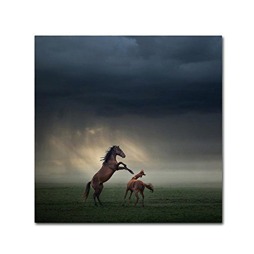 Horses Fight Wall Décor, 18x18