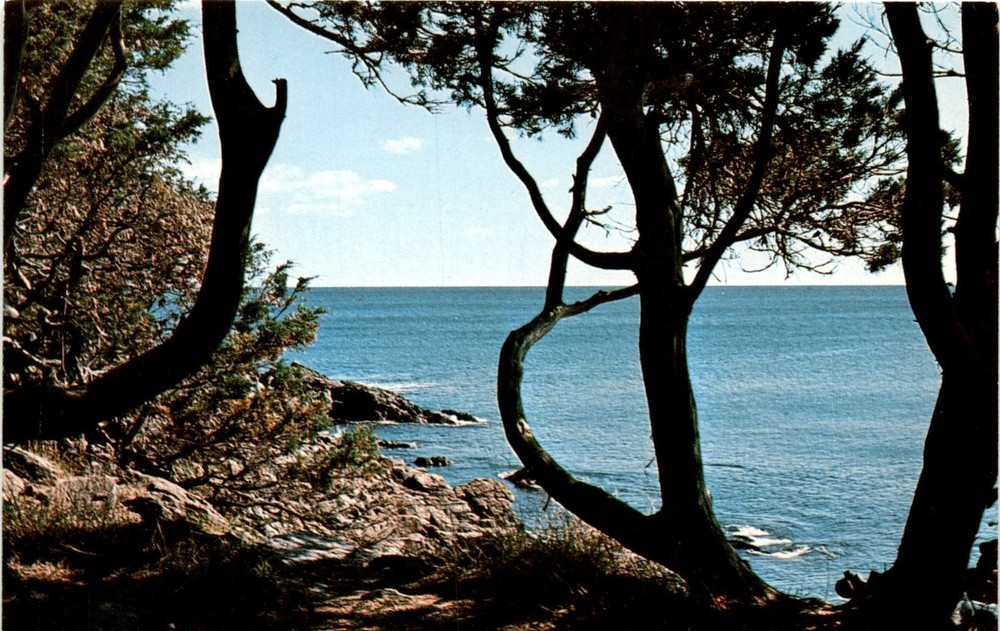 Marginal Way, Ogunquit, Maine, Edward D. Hipple, Coastal Color Print. Postcard