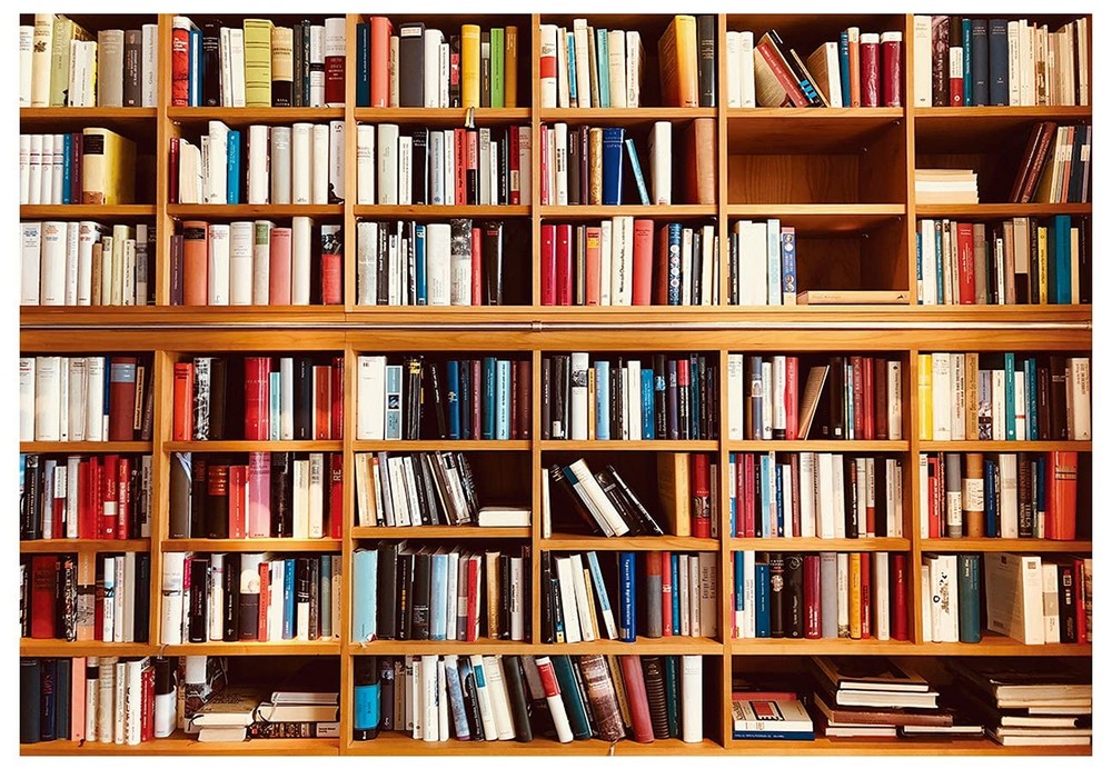 YYNXSY 7X5FT Bookshelf Backdrop Window Backdrops for Photography 7X5FT, Brown