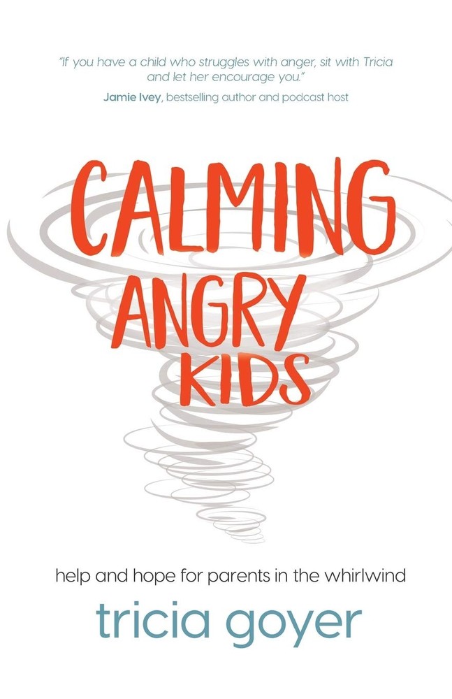 Calming Angry Kids: Help and Hope for Parents in the Whirlwind by Goyer