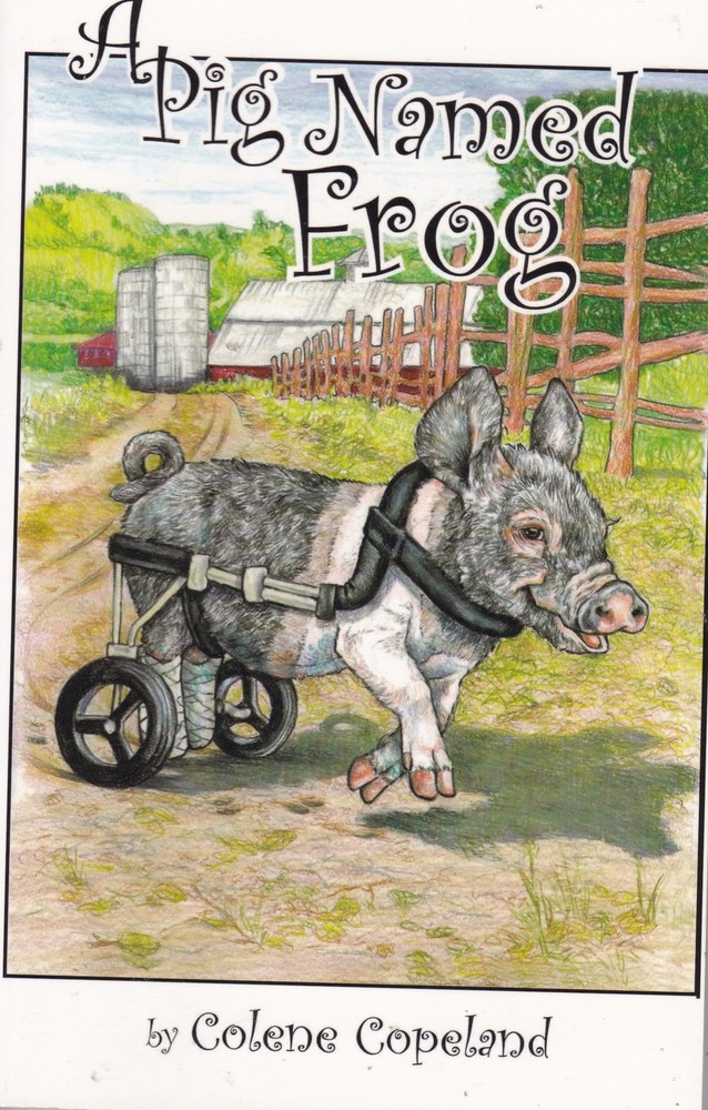 A Pig Named Frog