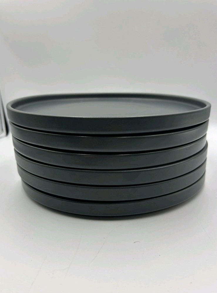 Stone + Lain Gray Matte Stoneware Dinner Plates Set of 6 Microwave Safe 10.25