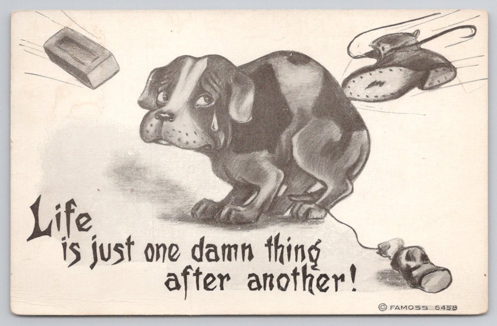 Comic Dog Postcard 