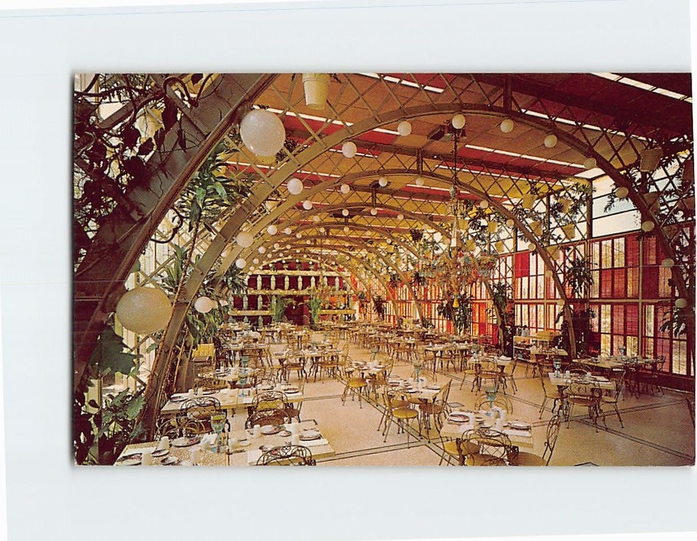 Postcard Kapok Tree Inn North Haines Road Clearwater Florida Room USA America